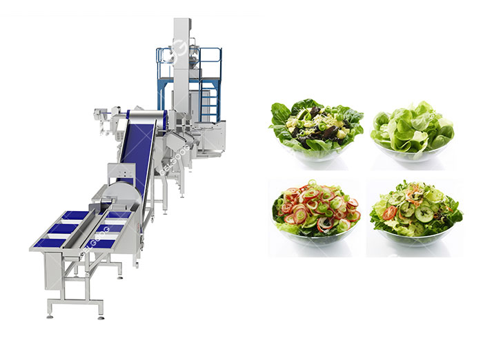 Vegetable Salad Processing Line.jpg